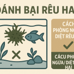 Làm thế nào để diệt rêu hại trong bể thủy sinh